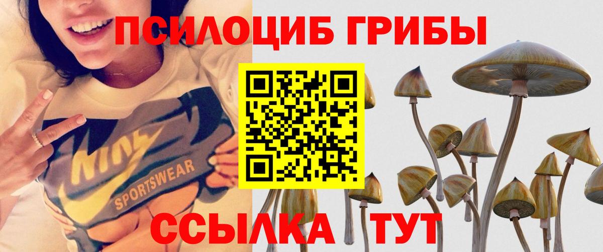 Галлюциногенные грибы Psilocybe  где купить наркоту  Ноябрьск  Вход с VPN 